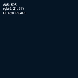 #051525 - Black Pearl Color Image